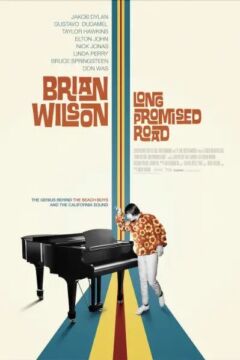 Brian Wilson: Long Promised Road