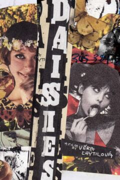 Daisies (1966)